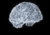 Ce este neuroștiința cognitivă și cum înțelegem procesul decizional