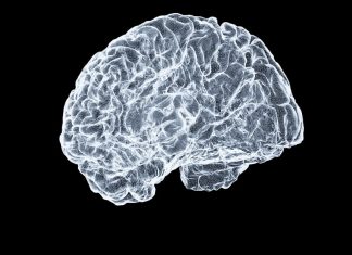 Ce este neuroștiința cognitivă și cum înțelegem procesul decizional 0 (0)
