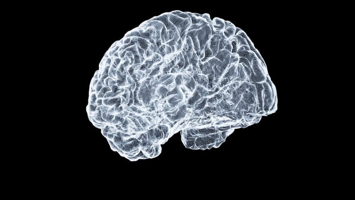 Ce este neuroștiința cognitivă și cum înțelegem procesul decizional