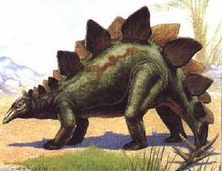 stegosaurus_84061800.jpg