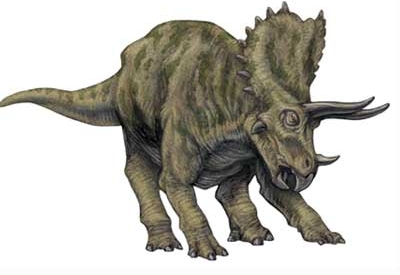 triceratops1_73525000.jpg