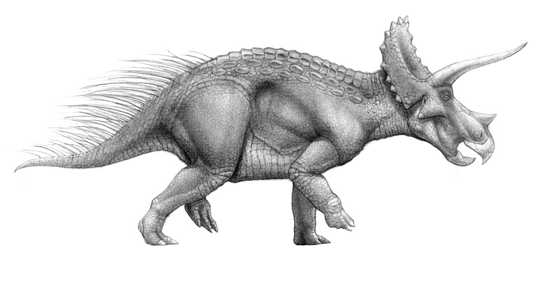 triceratops2_81944800.jpg