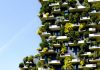 Arhitectura verde: Cum au început clădirile să respire prin tehnologie?
