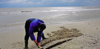 incd-geoecomar-stiinta-tehnica-1