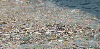 insula de plastic