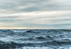 Tehnologia Argo: Mii de geamanduri care măsoară sănătatea oceanelor.