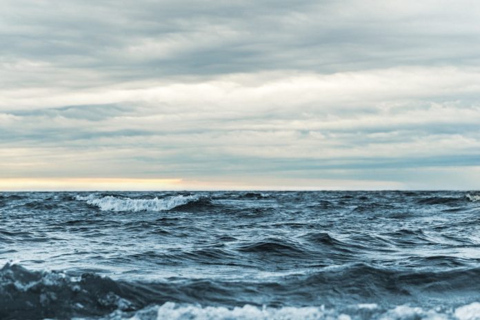 Tehnologia Argo: Mii de geamanduri care măsoară sănătatea oceanelor.