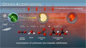 decarbonizare-co2-stiinta-tehnica-9