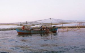 pescuit-marea-neagra-incdm-stiinta-tehnica-4