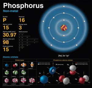 fosfor-stiinta-tehnica-2
