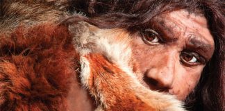 neanderthal-omul-nou-stiinta-tehnica-1