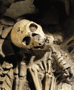neanderthal-omul-nou-stiinta-tehnica-2