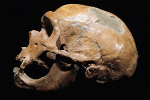 neanderthal-omul-nou-stiinta-tehnica-5
