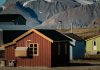 Importanța biodiversității și lecțiile învățate de la Svalbard Seed Vault