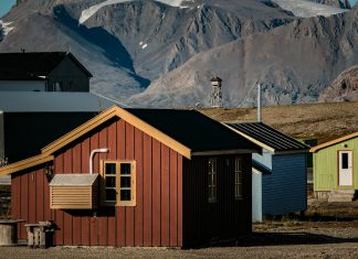 Importanța biodiversității și lecțiile învățate de la Svalbard Seed Vault 0 (0)