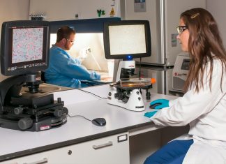Bioinformatica: Când biologia întâlnește puterea de calcul a computerelor. 0 (0)