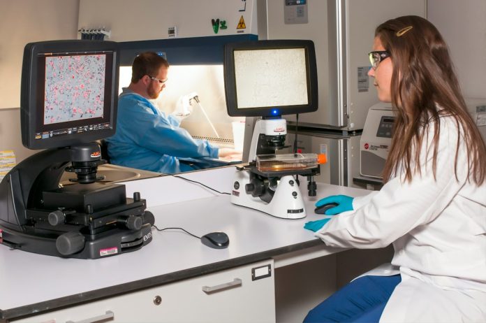 Bioinformatica: Când biologia întâlnește puterea de calcul a computerelor.