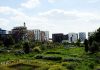 Impactul tehnologiei asupra biodiversității urbane