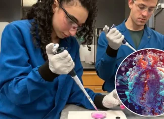 Un arbore rar din Oceania ar putea ajuta în lupta cu HIV 5 (2)