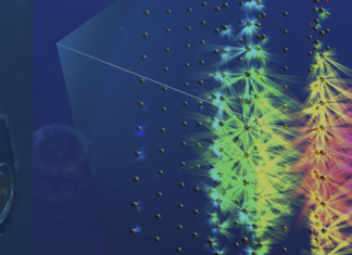 Un neutrin de o energie fără precedent detectat în adâncurile Mării Mediterane 4.3 (20)