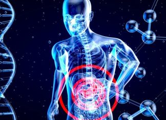 Cercetătorii vor să crească „piese de schimb” pentru organe umane 5 (7)