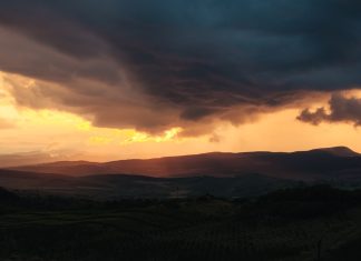 Pregătim România pentru 2050: O foaie de parcurs vizionară 0 (0)