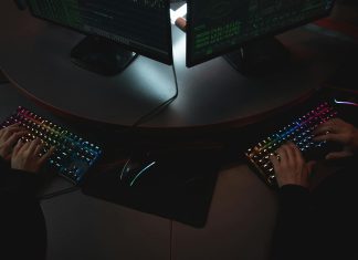 Securitatea cibernetică în anii 2000: Primele mari bătălii cu virușii informatici. 0 (0)