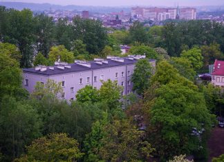 Urbanismul verde: Cum transformăm betoanele în ecosisteme 0 (0)