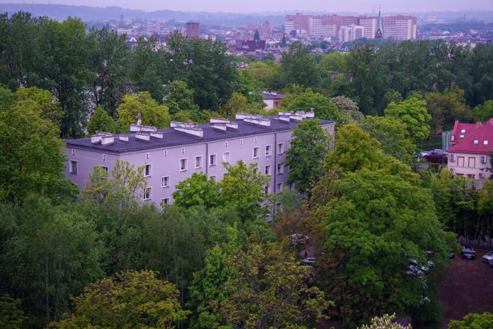 Urbanismul verde: Cum transformăm betoanele în ecosisteme