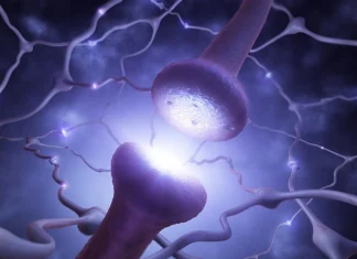 Folosește creierul tău fizica cuantică? 4.9 (8)