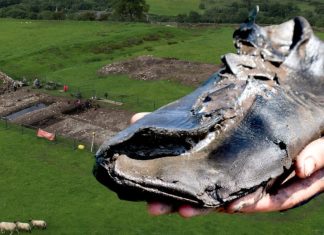 Opt încălțări romane antice de „dimensiuni excepționale” descoperite lângă Zidul lui Hadrian 5 (3)