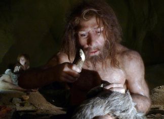 Când neanderthalienii au inventat briceagul elvețian… din oase de leu de peșteră 5 (5)