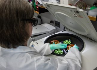 Proteina fluorescentă verde (GFP): Instrumentul care a luminat biologia celulară. 0 (0)