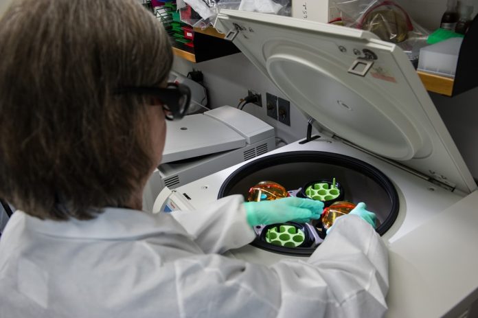 Proteina fluorescentă verde (GFP): Instrumentul care a luminat biologia celulară.