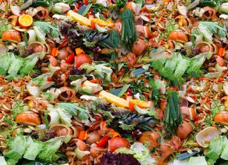 Cercetătorii transformă deșeurile alimentare în plastic și îngrășământ – o dublă victorie pentru Pământ! 5 (3)