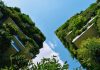 Ce este arhitectura verde și cum reducem consumul de energie al clădirilor