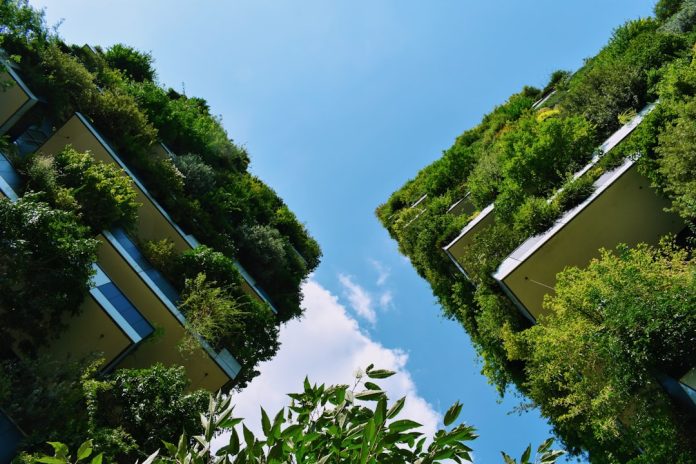 Ce este arhitectura verde și cum reducem consumul de energie al clădirilor