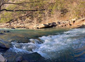 De ce unii oameni aleg în mod deliberat o viață dificilă 5 (2)