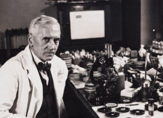 Descoperirea Accidentală a Penicilinei: Cum a Schimbat Alexander Fleming Istoria Medicinei 5 (1)