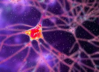 Terapie Genică Inovatoare – Primul Tratament pentru Boala Huntington care Încetinește Progresia Afectiunii 0 (0)