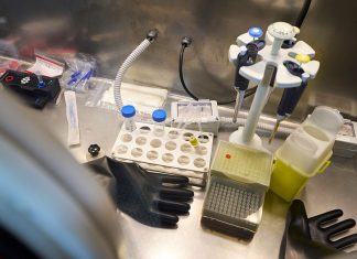 Tăierile Bujetare Propuse Amenință Progresul în Dezvoltarea Medicamentelor 0 (0)