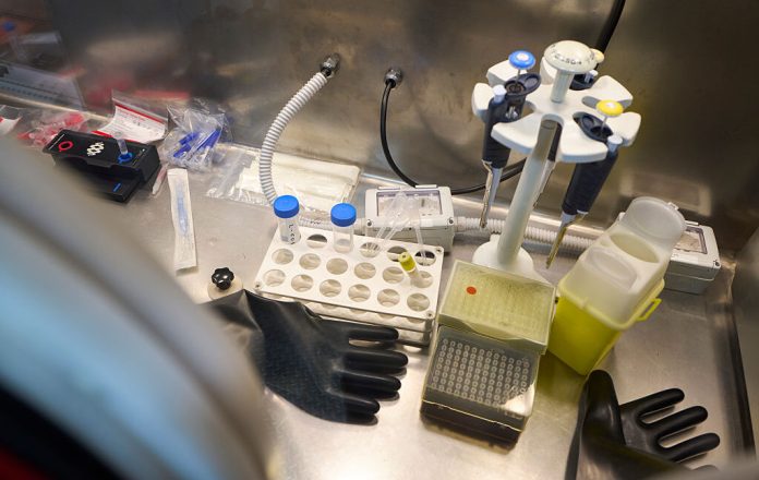 GettyImages-2234956387-1024x648