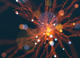 Fizicienii Descoperă o Portiță în Principiul Incertitudinii al lui Heisenberg fără a-l Încălca 5 (1)