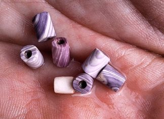 Descoperire Excepțională în Newfoundland: Mărgele Wampum din Secolul al XVII-lea Evidențiază Comerțul Cu Indigenii 0 (0)