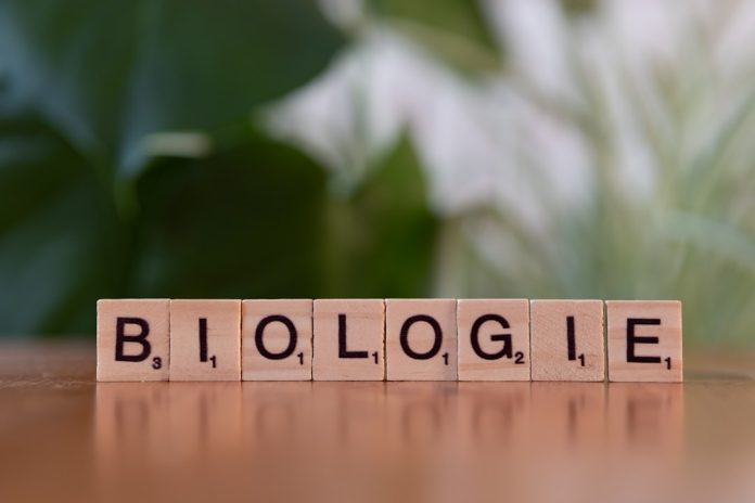 Ce este bioetica și provocările clonării în anii 2000