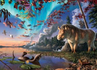 Rinocerul Antic „Înghețat” din Arctica Canadiană Rescrie Istoria Podului Terestru al Atlanticului de Nord 5 (1)