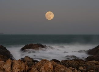 Superluna Castorilor: Cel mai mare și mai strălucitor fenomen lunar al anului urmează să apară pe cer 0 (0)