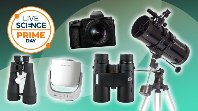 6gwdrfPcq5ozBse4kHnofh-1280-80