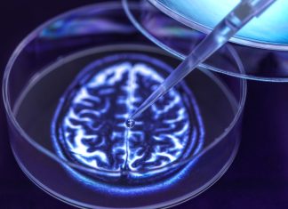 Experimentarea pe mini-creiere conștiente în laborator: Etic sau necesar? 0 (0)