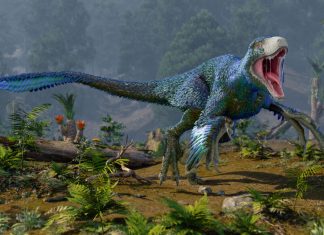 Dinozaurii ar fi prosperat până în momentul impactului cu asteroidul 5 (1)